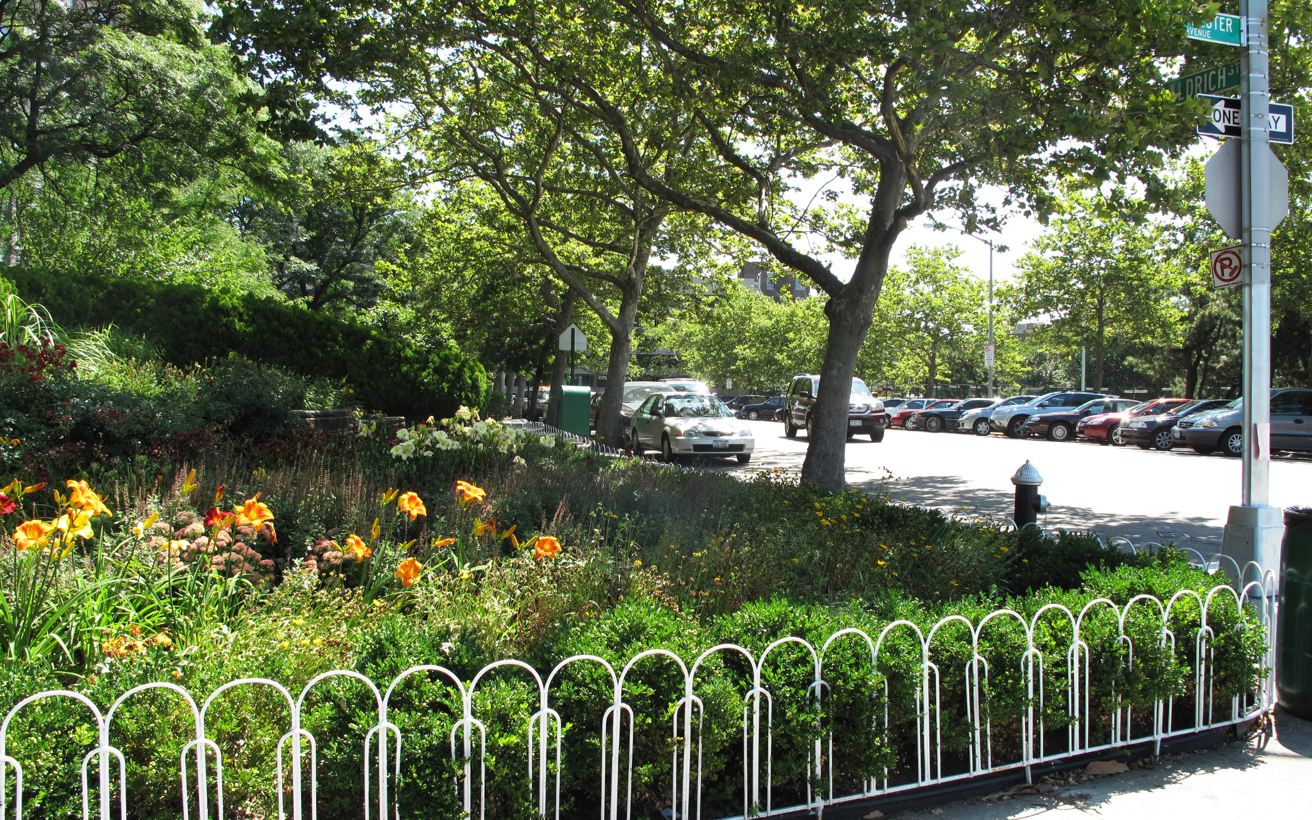 IMG_0872 close up of roadside green space