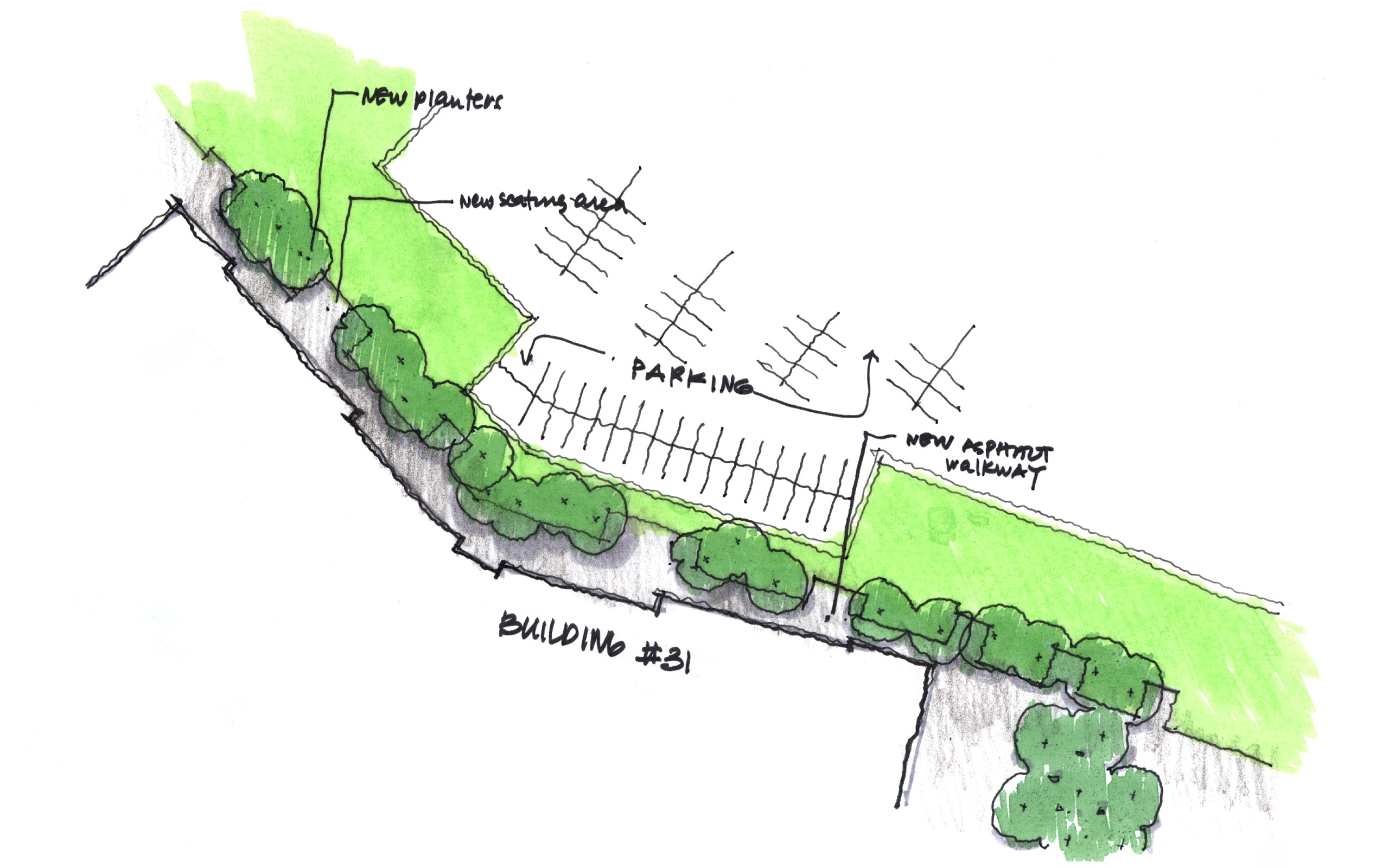 plan Sketched diagram of green space alongside a parking lot
