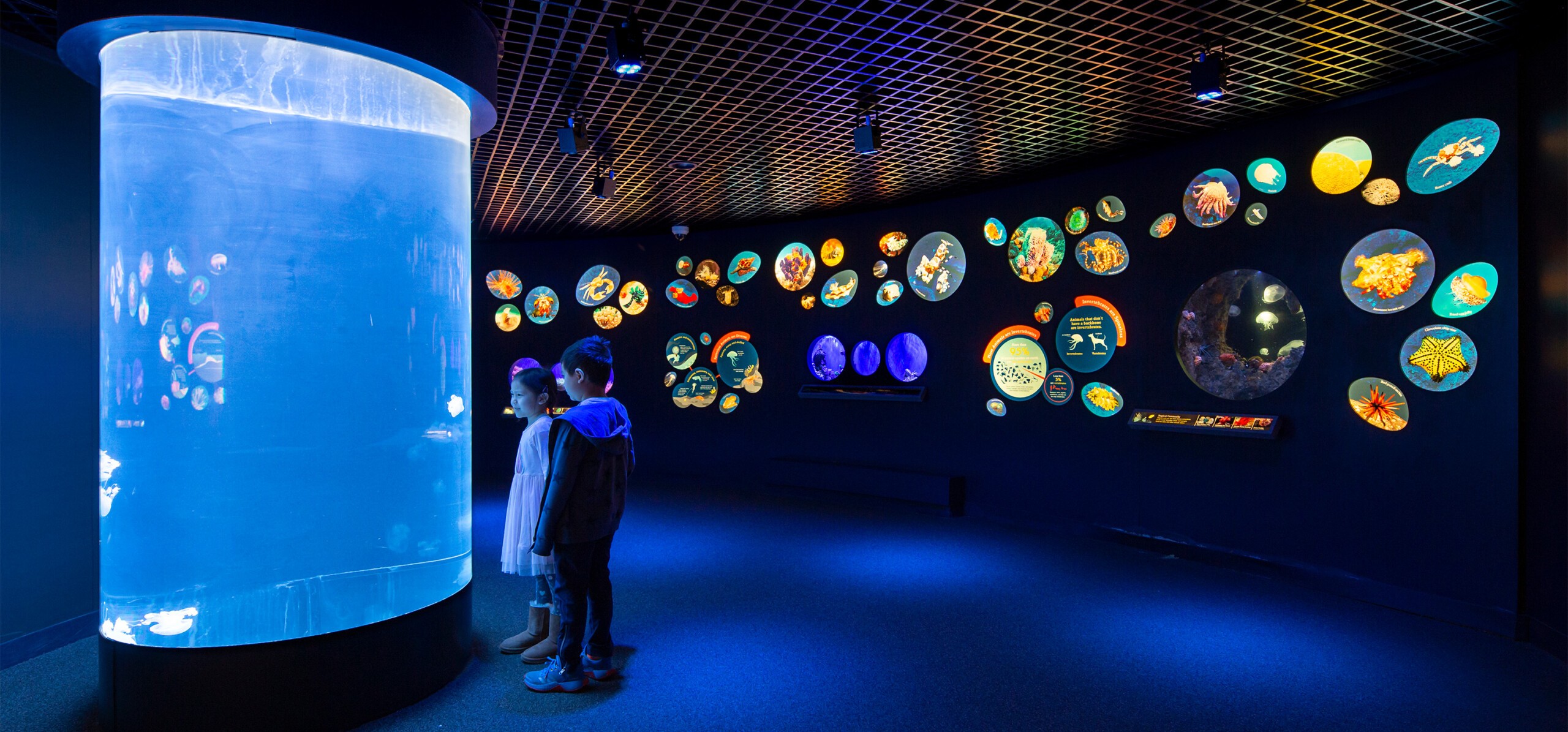 New York Aquarium Spineless