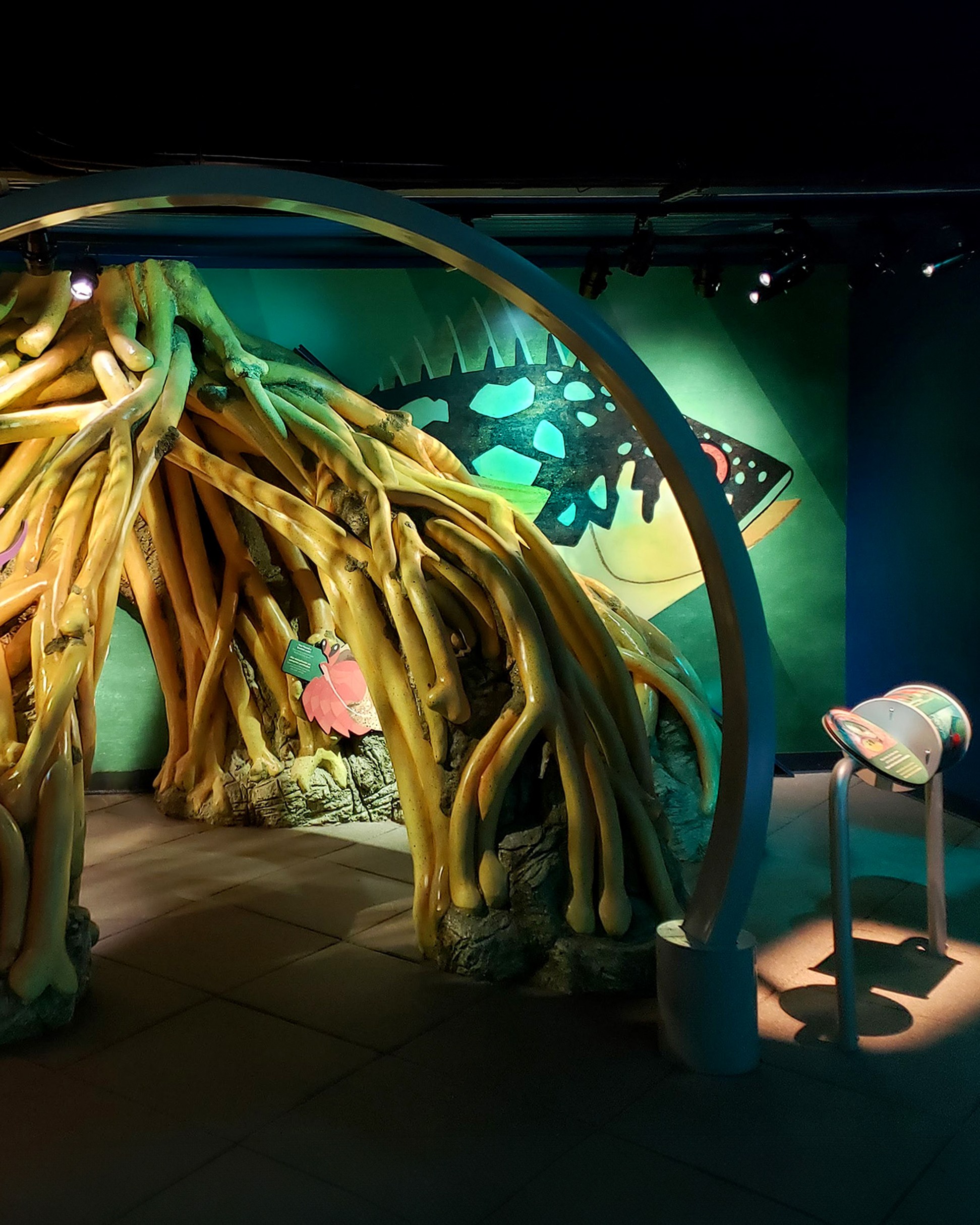 Aquarium_03_8x10 New York Aquarium PlayQuarium interactive exhibit