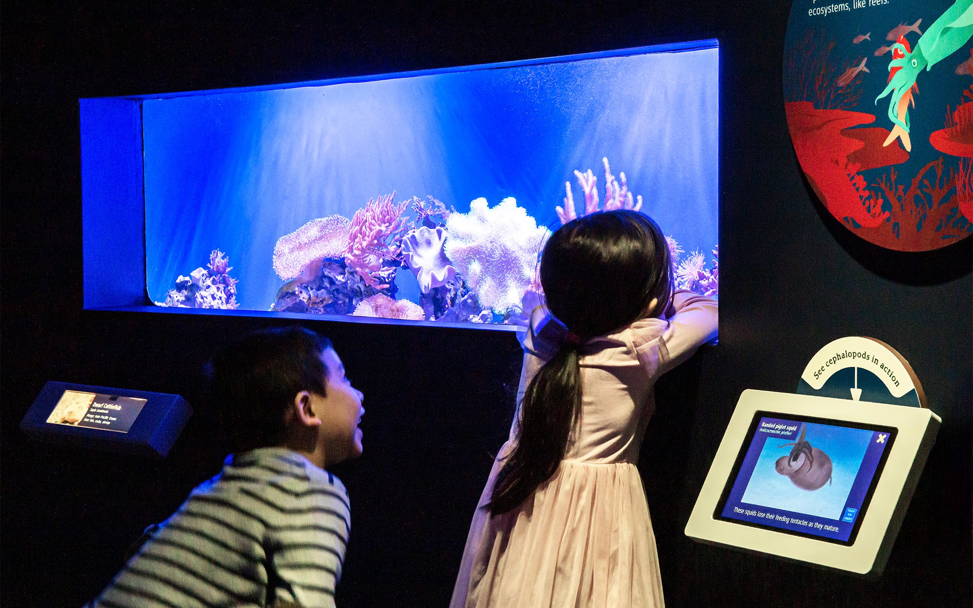 Aquarium_18_V2 New York Aquarium PlayQuarium