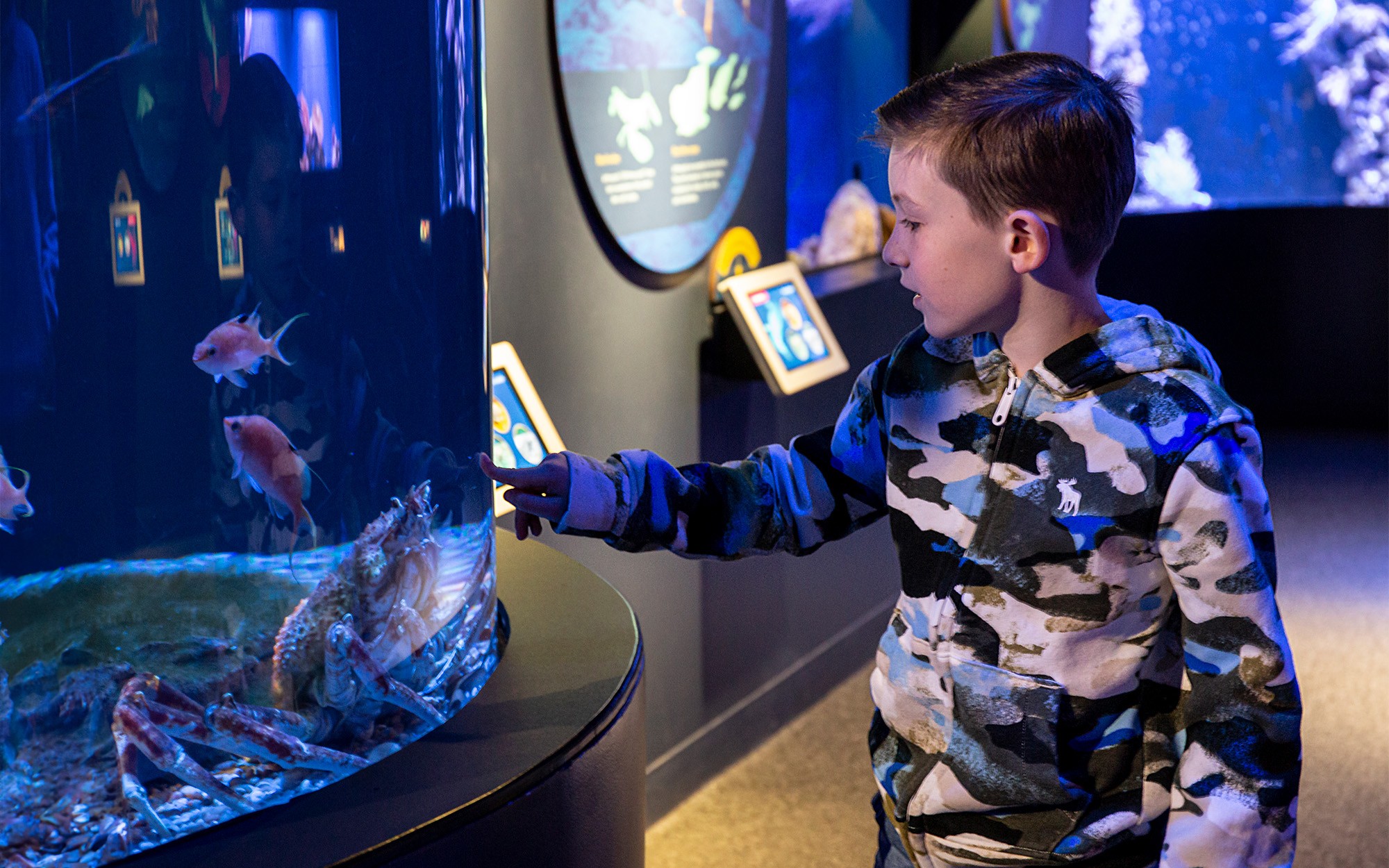 Aquarium_19_V2 New York Aquarium PlayQuarium