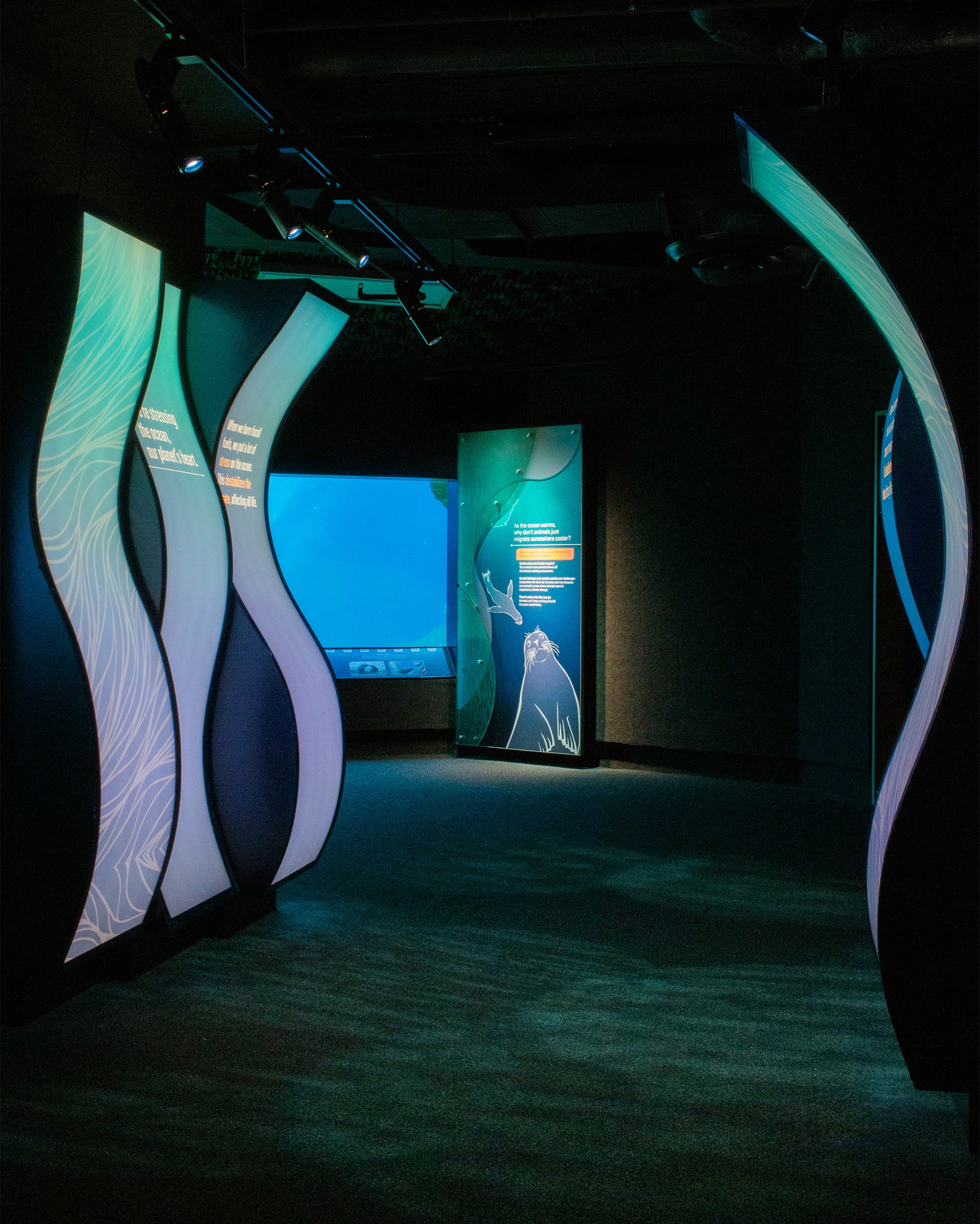 New York Aquarium Sea Change exhibit