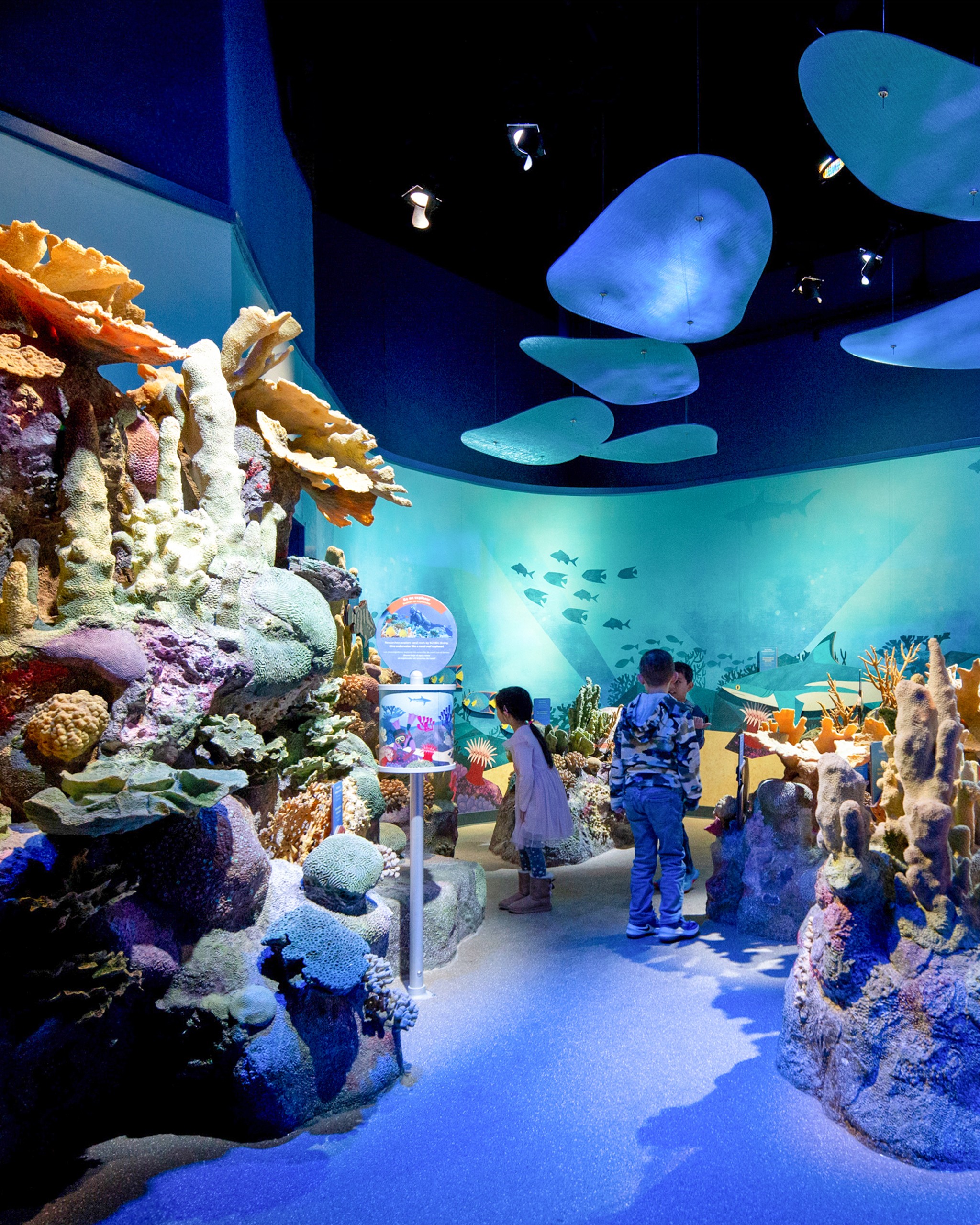 _MG_3209_V2_8x10 New York Aquarium PlayQuarium interactive exhibit
