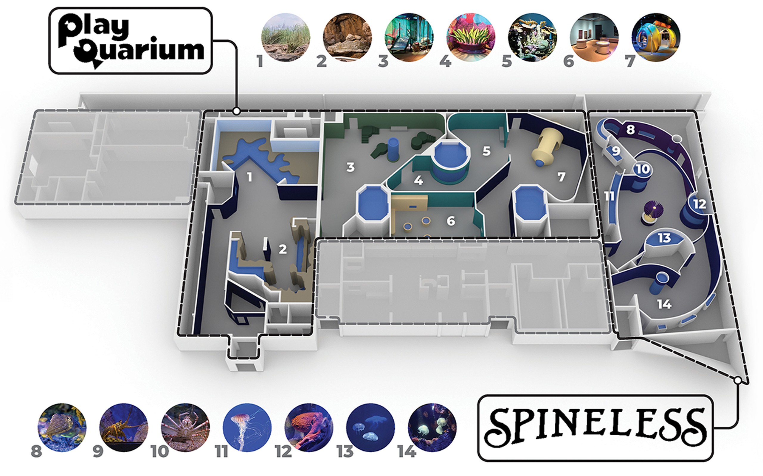 PQ-SP – DIA_16x10 New York Aquarium Spineless & PlayQuarium exhibition diagram
